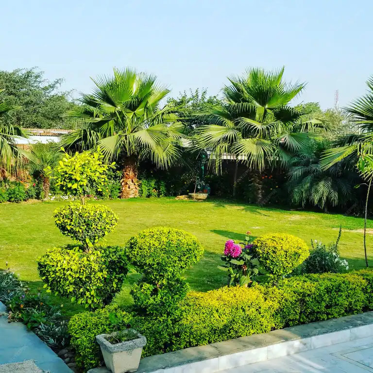 Garden design