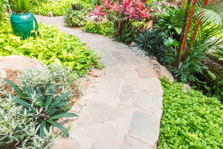 Stone garden path through planted beds