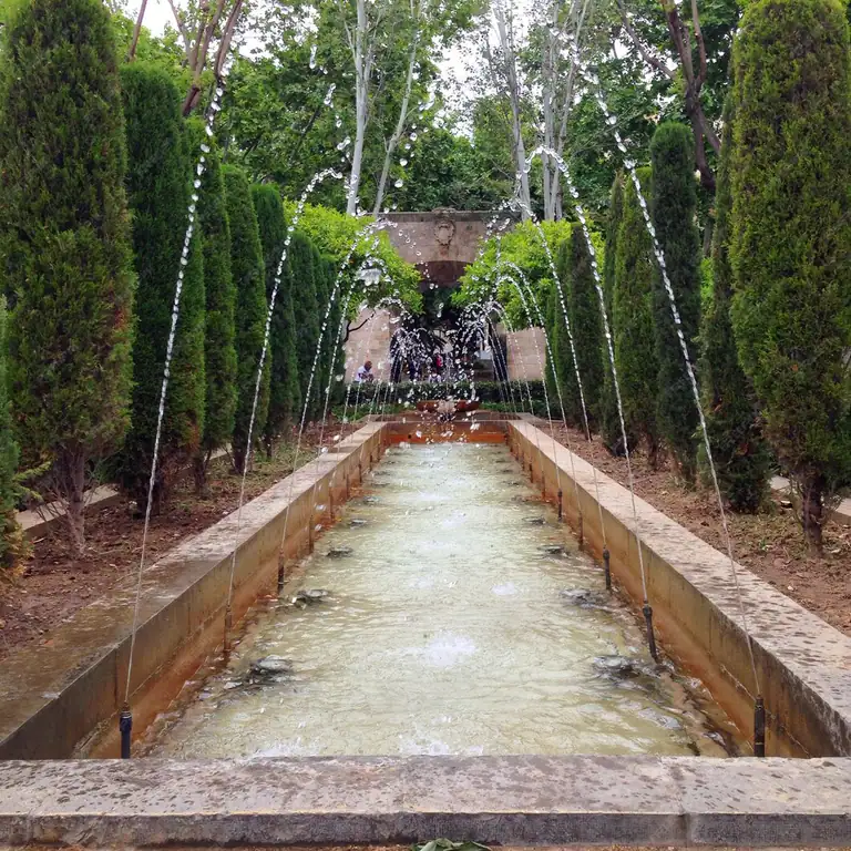 Water garden
