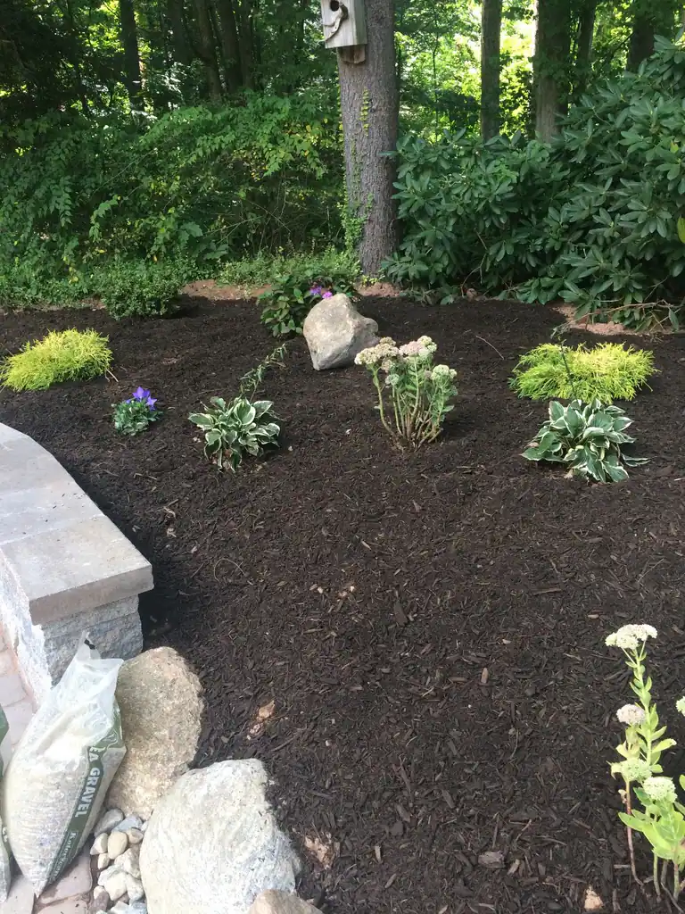 Planting and hardscape together